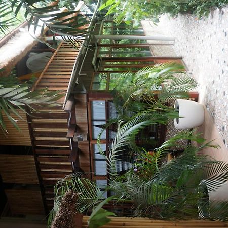 Raintree Lodge بورت مورسبي المظهر الخارجي الصورة
