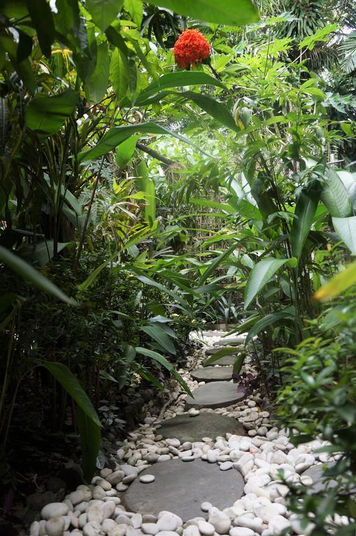 Raintree Lodge بورت مورسبي المظهر الخارجي الصورة