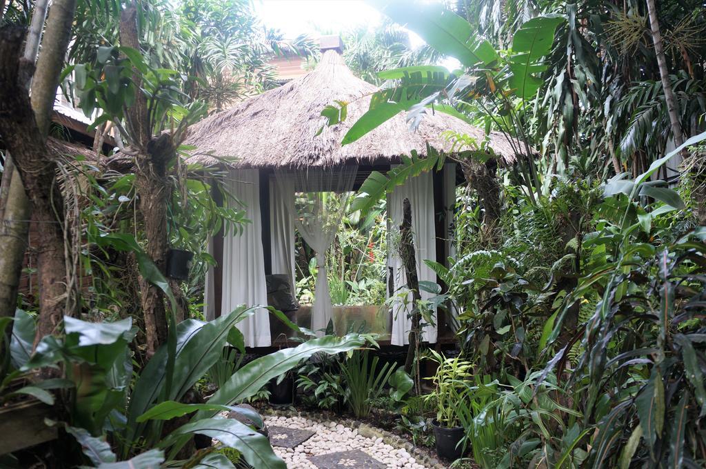 Raintree Lodge بورت مورسبي المظهر الخارجي الصورة